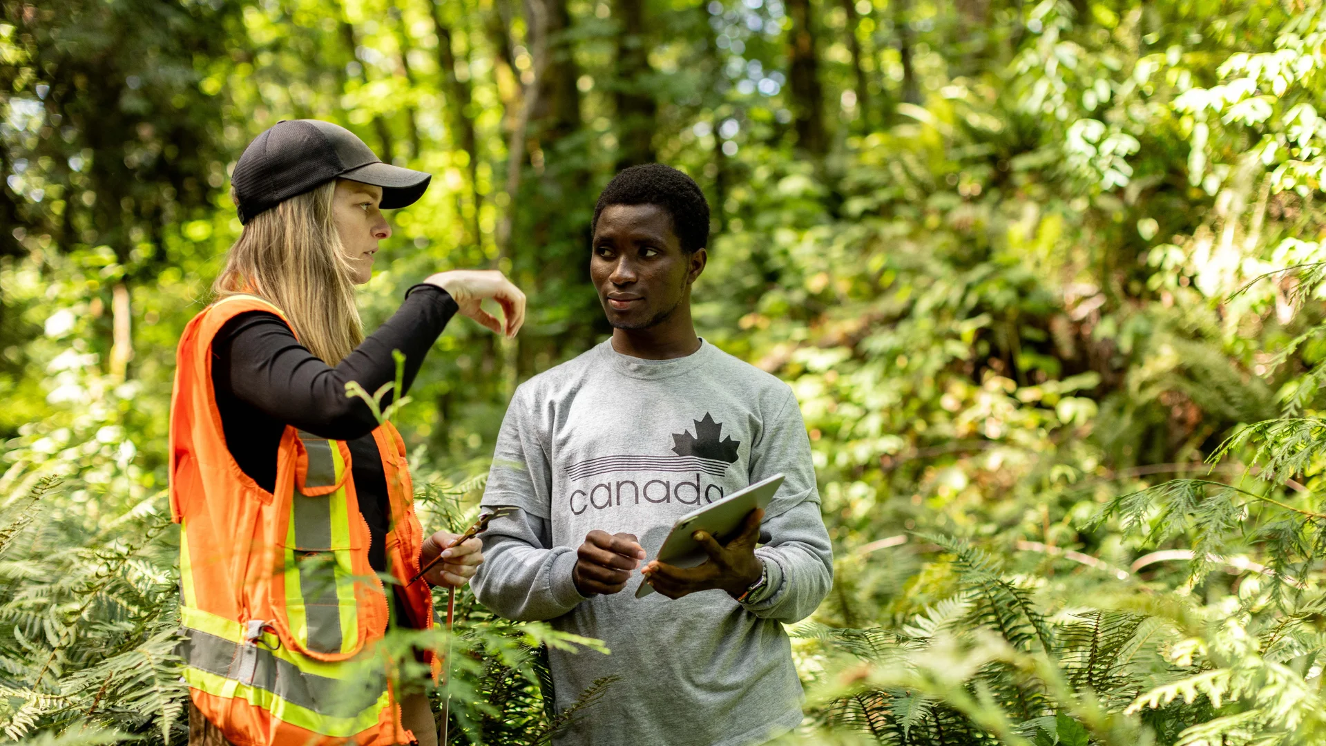 PICS Climate Internship Program 2027