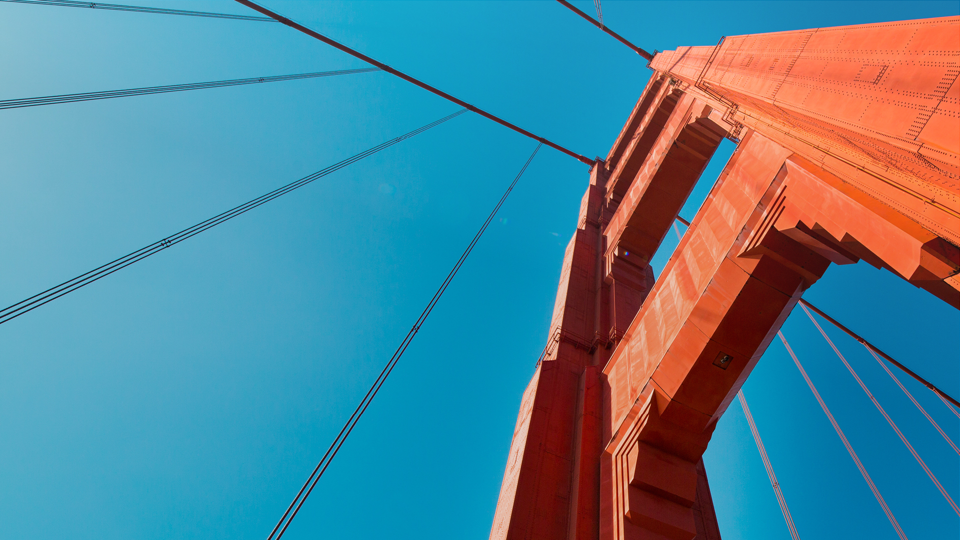 Rathbone Global Opportunities Fund: Inside a Strategy for Finding Global Champions