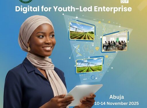UNDP Digital for Youth-Led Enterprise Programme 2025